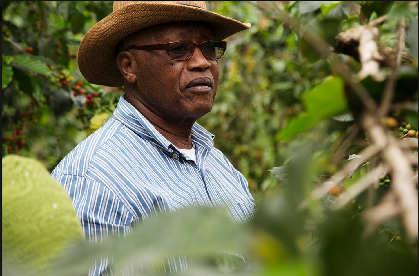 Rwanda Boneza Coffee